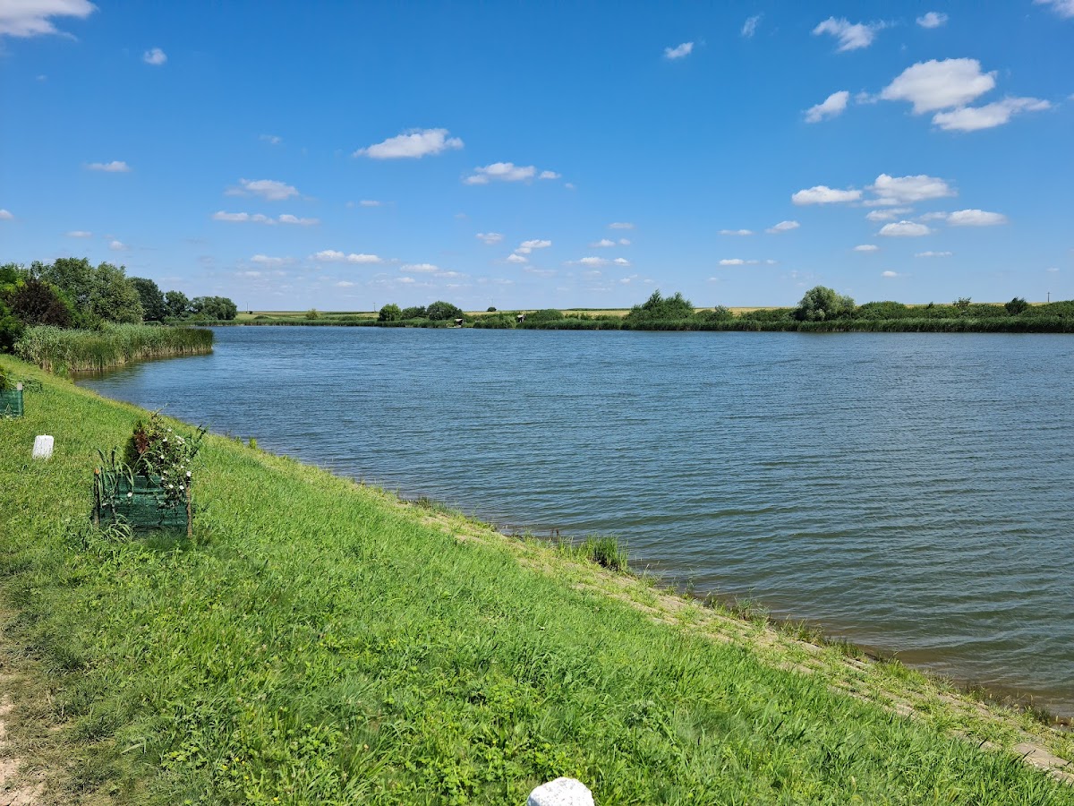 Ferma de Crap Diosig - foto 4