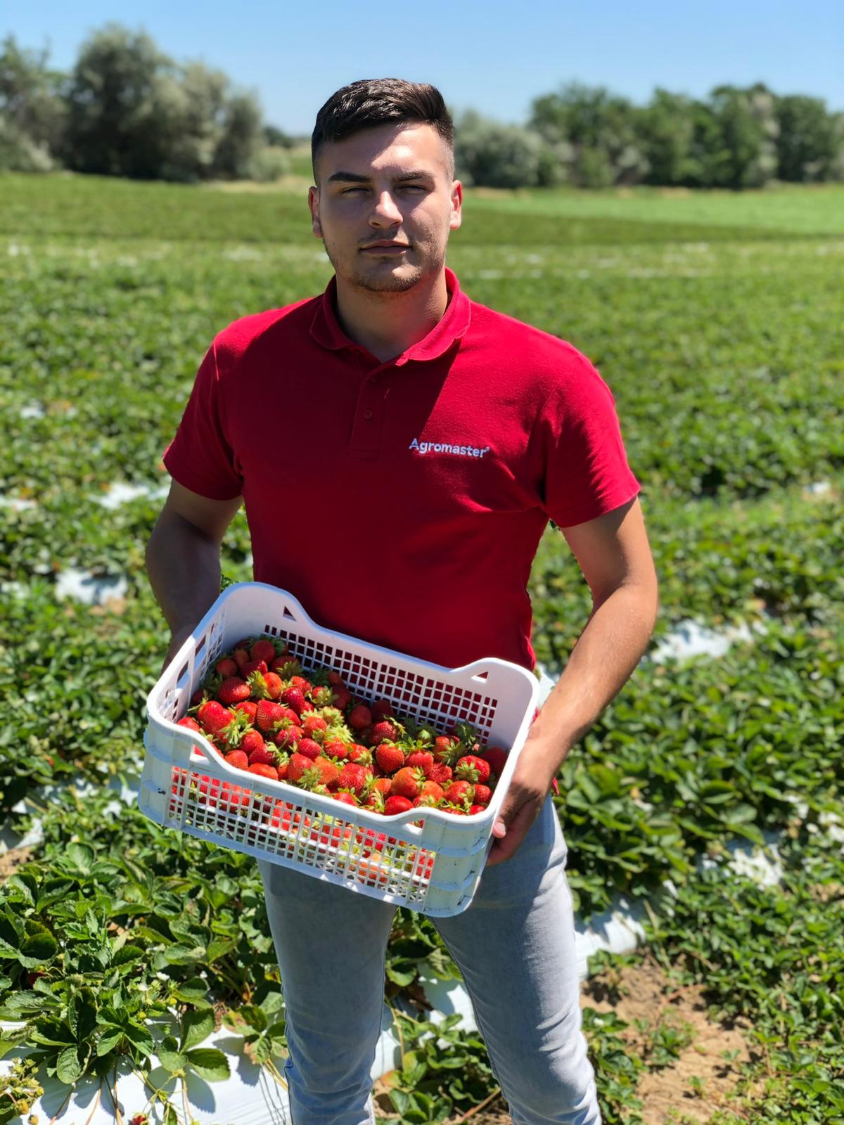 Ferma Drăghici - foto 2