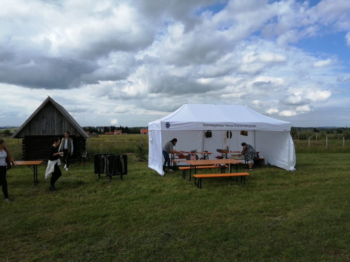 FILI Csemetekert - foto 2