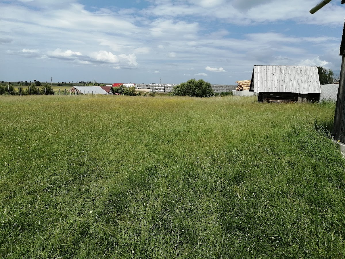 FILI Csemetekert - foto 3