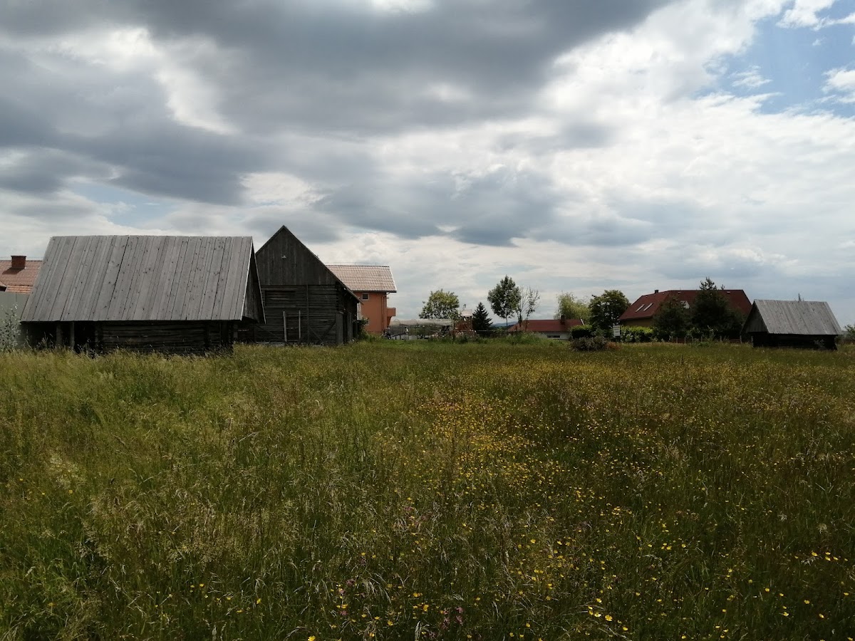 FILI Csemetekert - foto 5