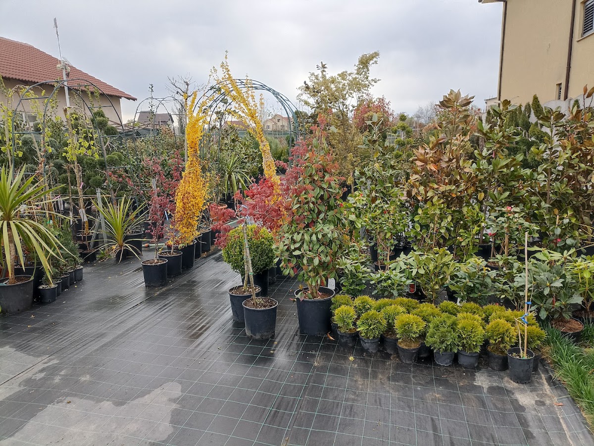 Filiași Garden