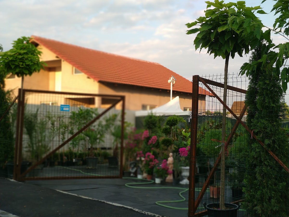 Filiași Garden - foto 2