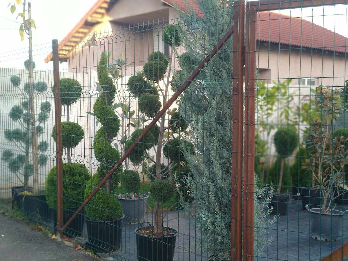 Filiași Garden - foto 4
