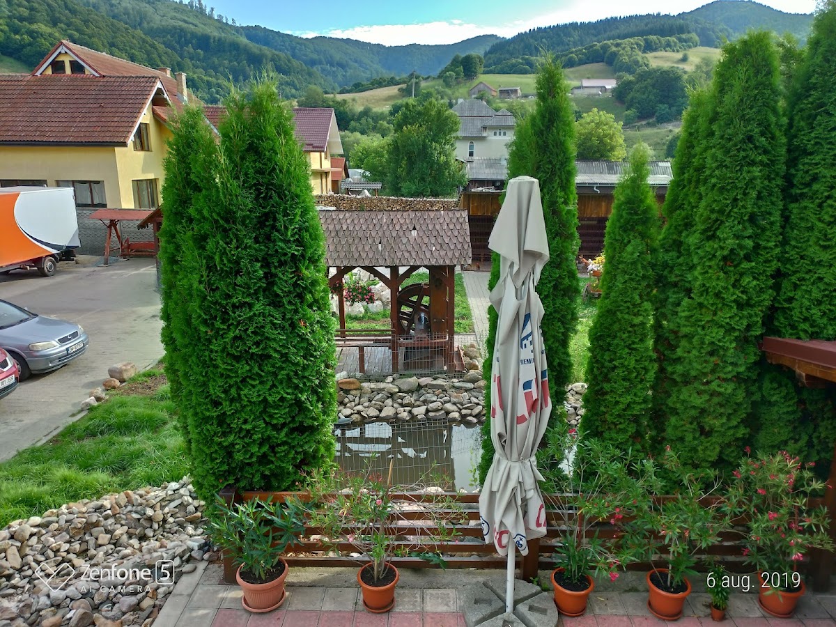 Filonul de Aur, Abrud