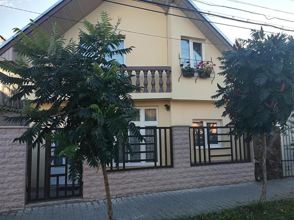 five, Luduş