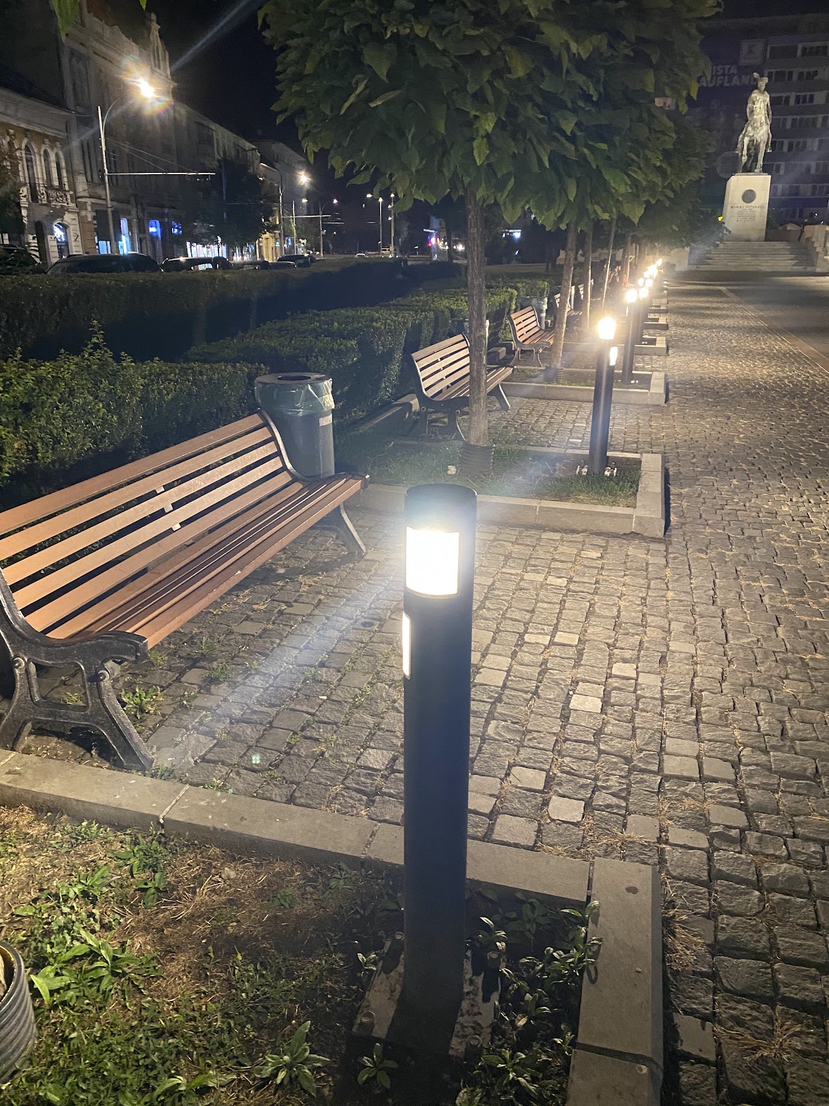 Flamme Éternelle sur la Place Mihai Viteazul, Cluj-Napoca - foto 4