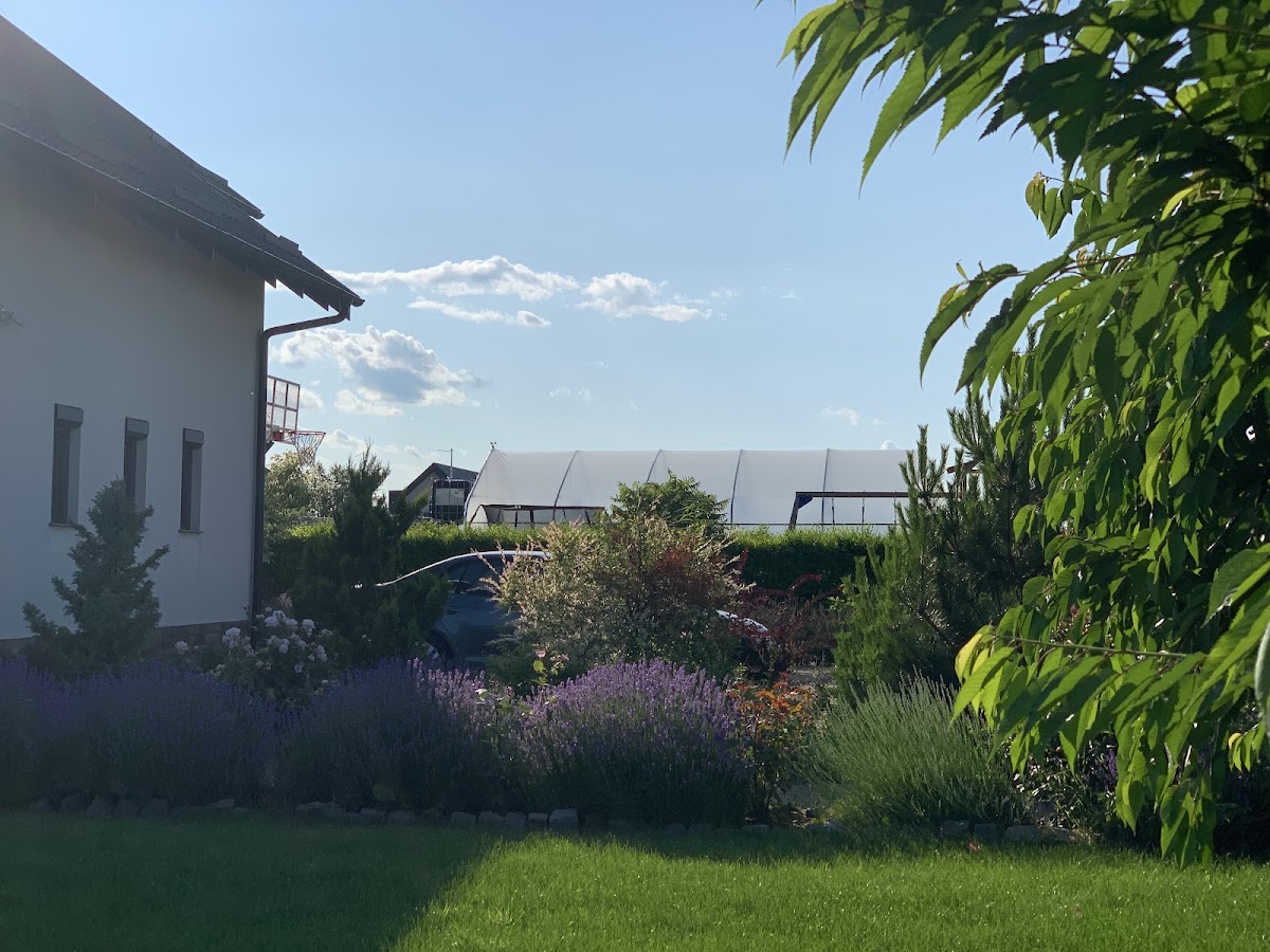 Floare de Câmp, Frumoasa
