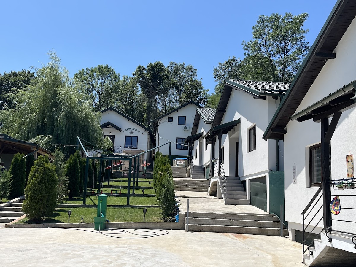 Floare de Colț (Pension), Ungureni