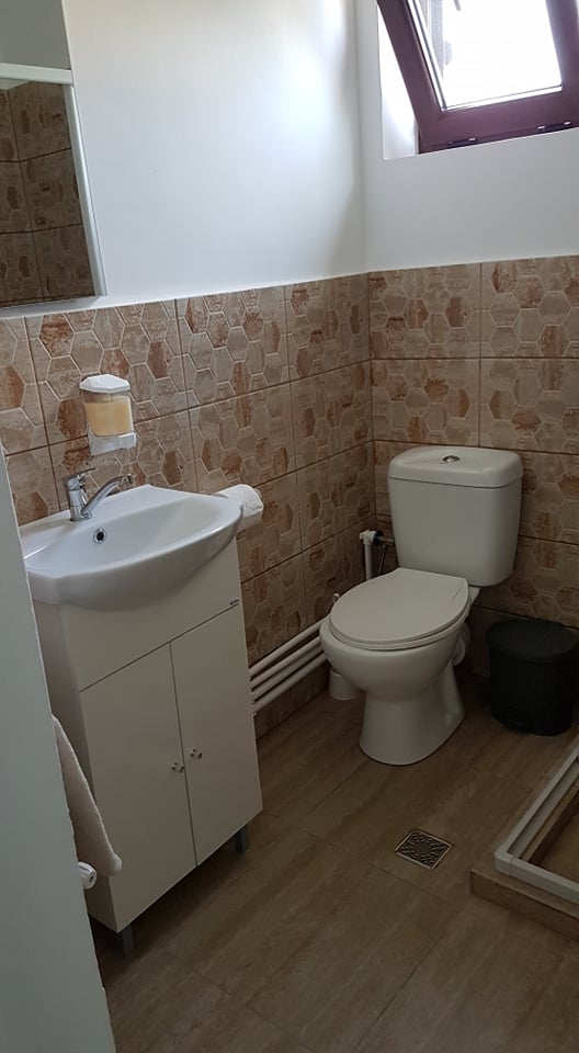 Flower Among Waters Crișan - foto 3