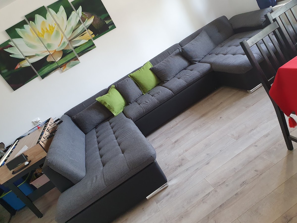 Flower Among Waters Crișan - foto 5