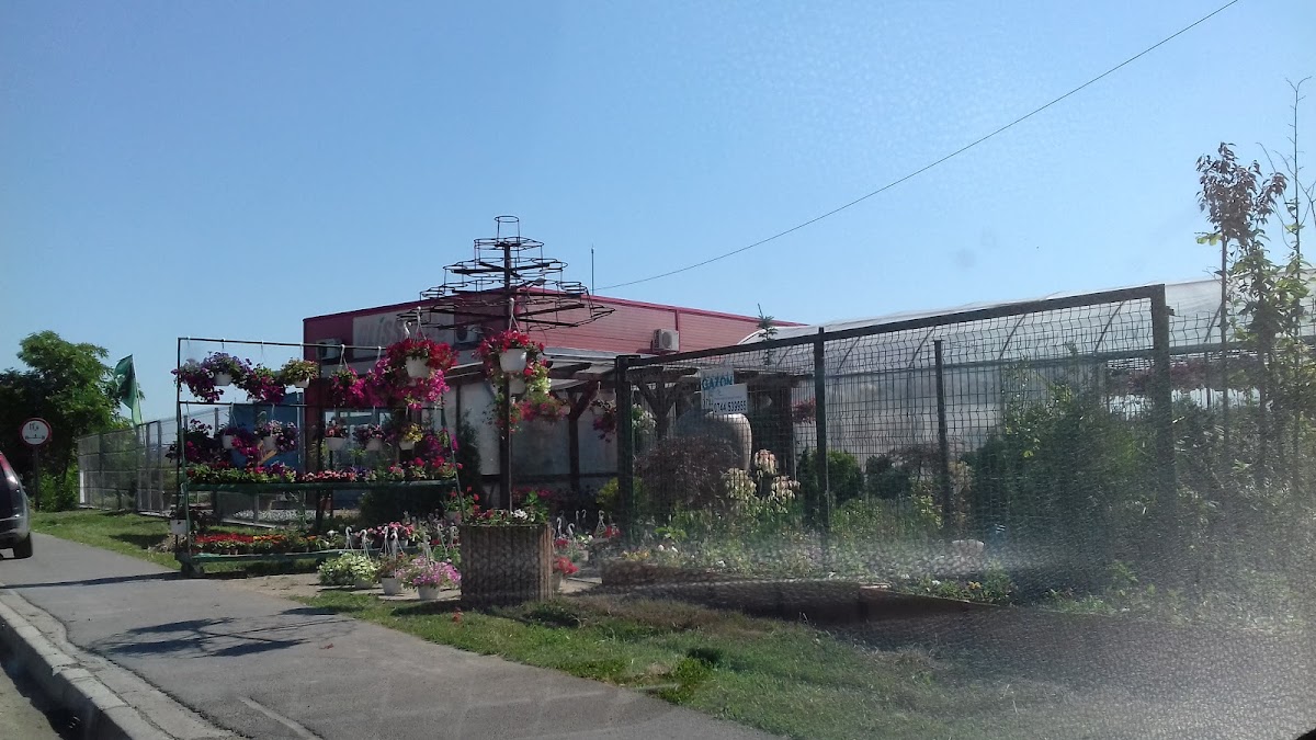 Flora Service - foto 2