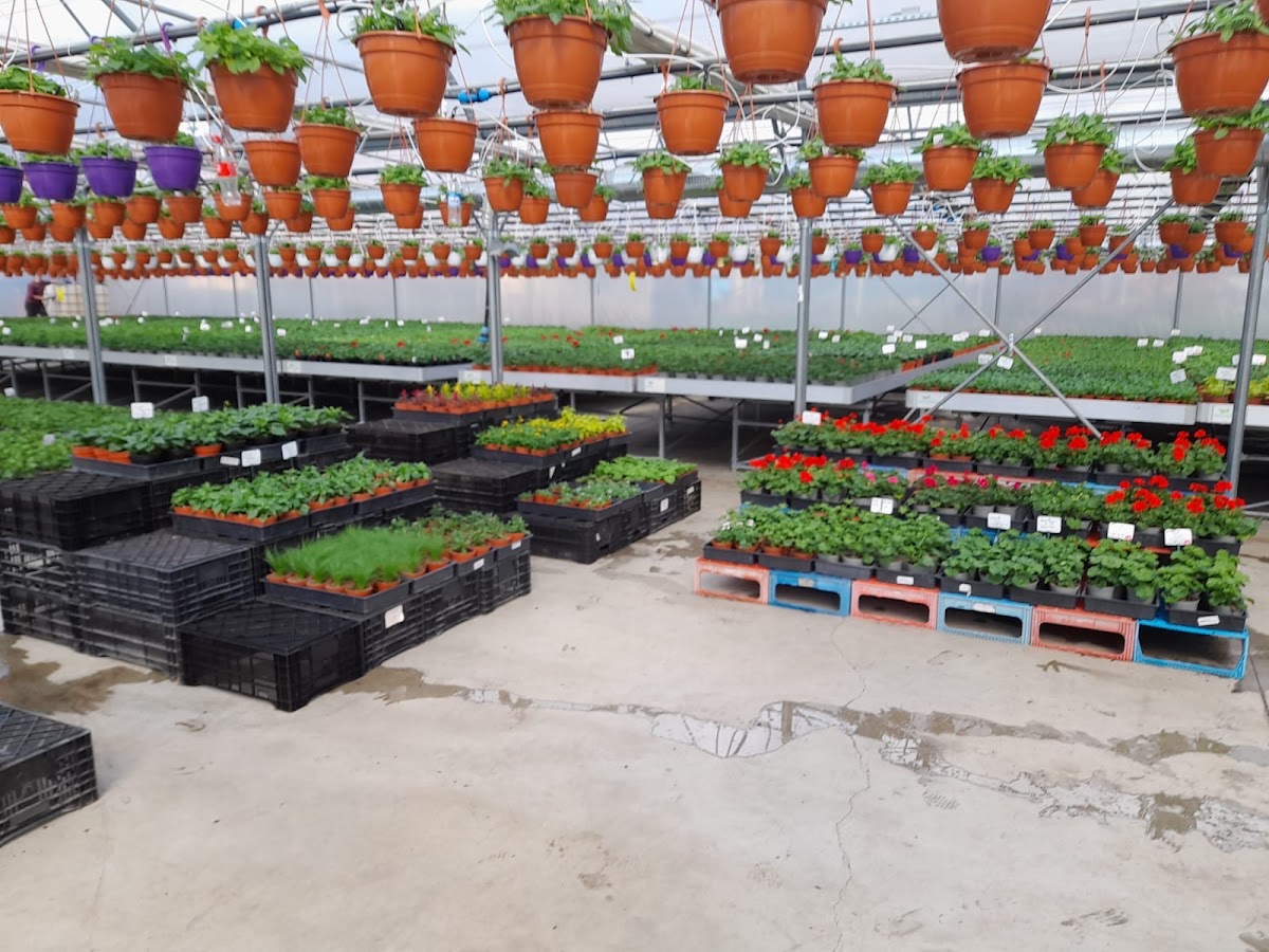 Florisol