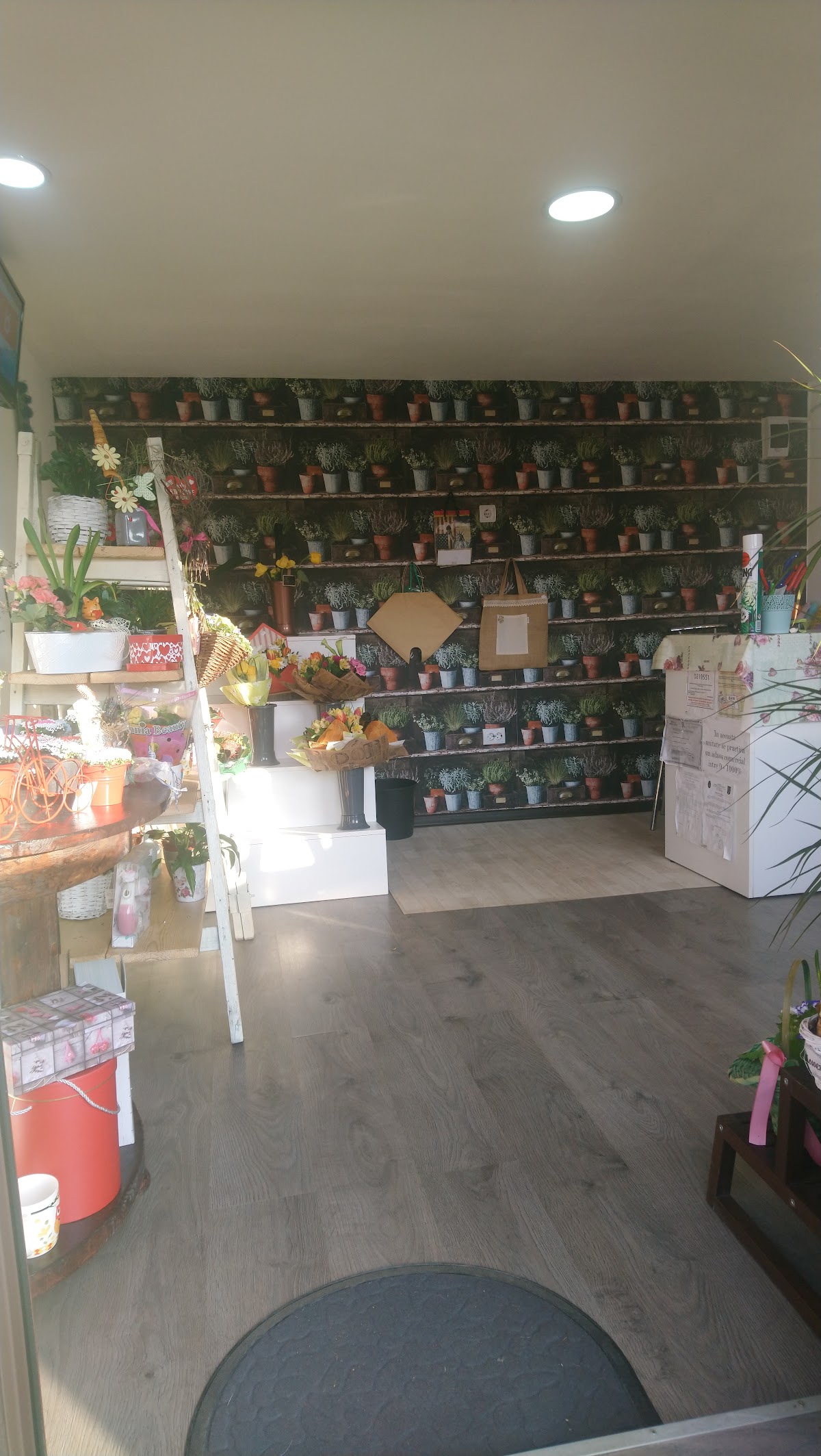 Flower Station - foto 2