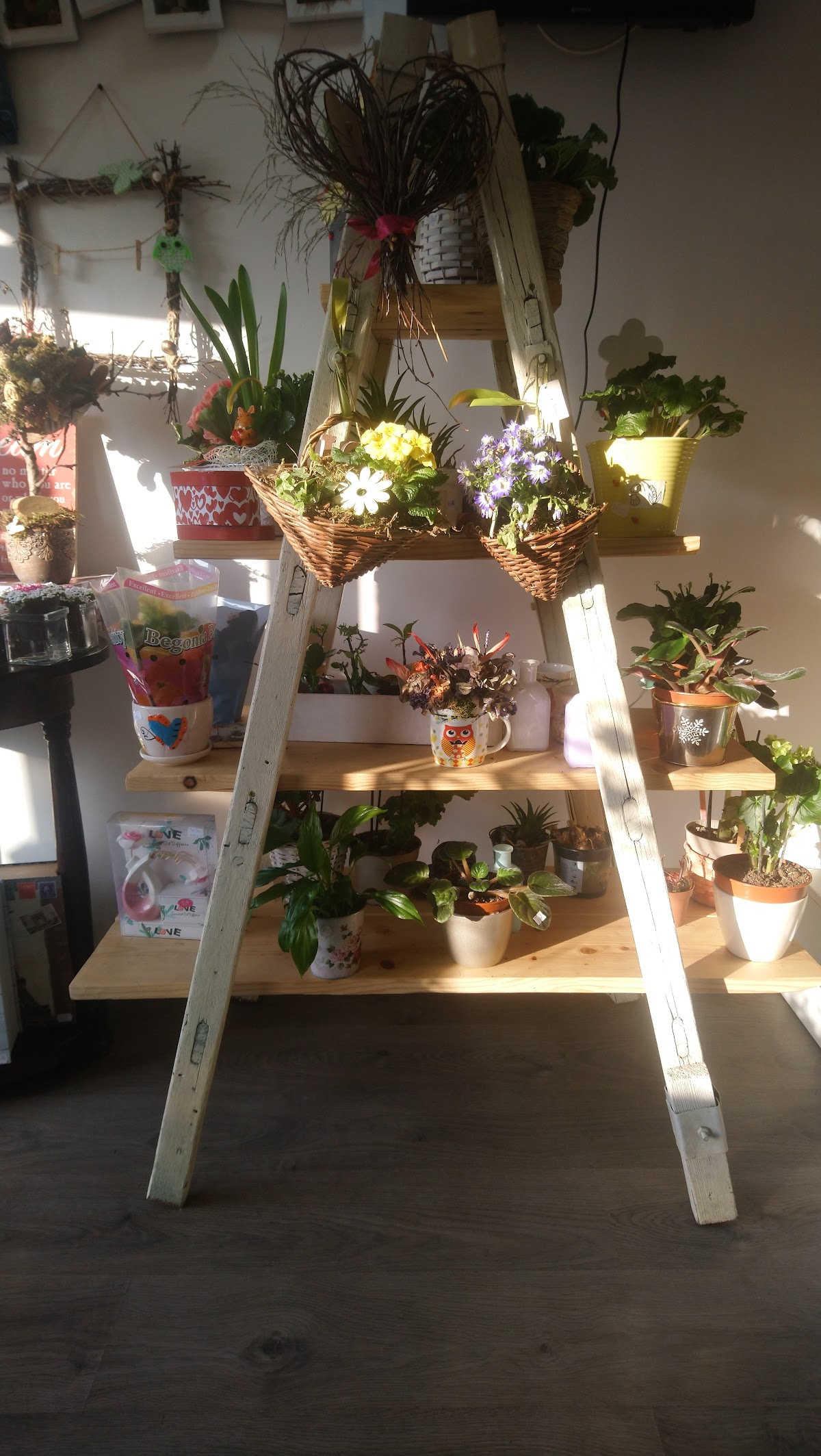 Flower Station - foto 5