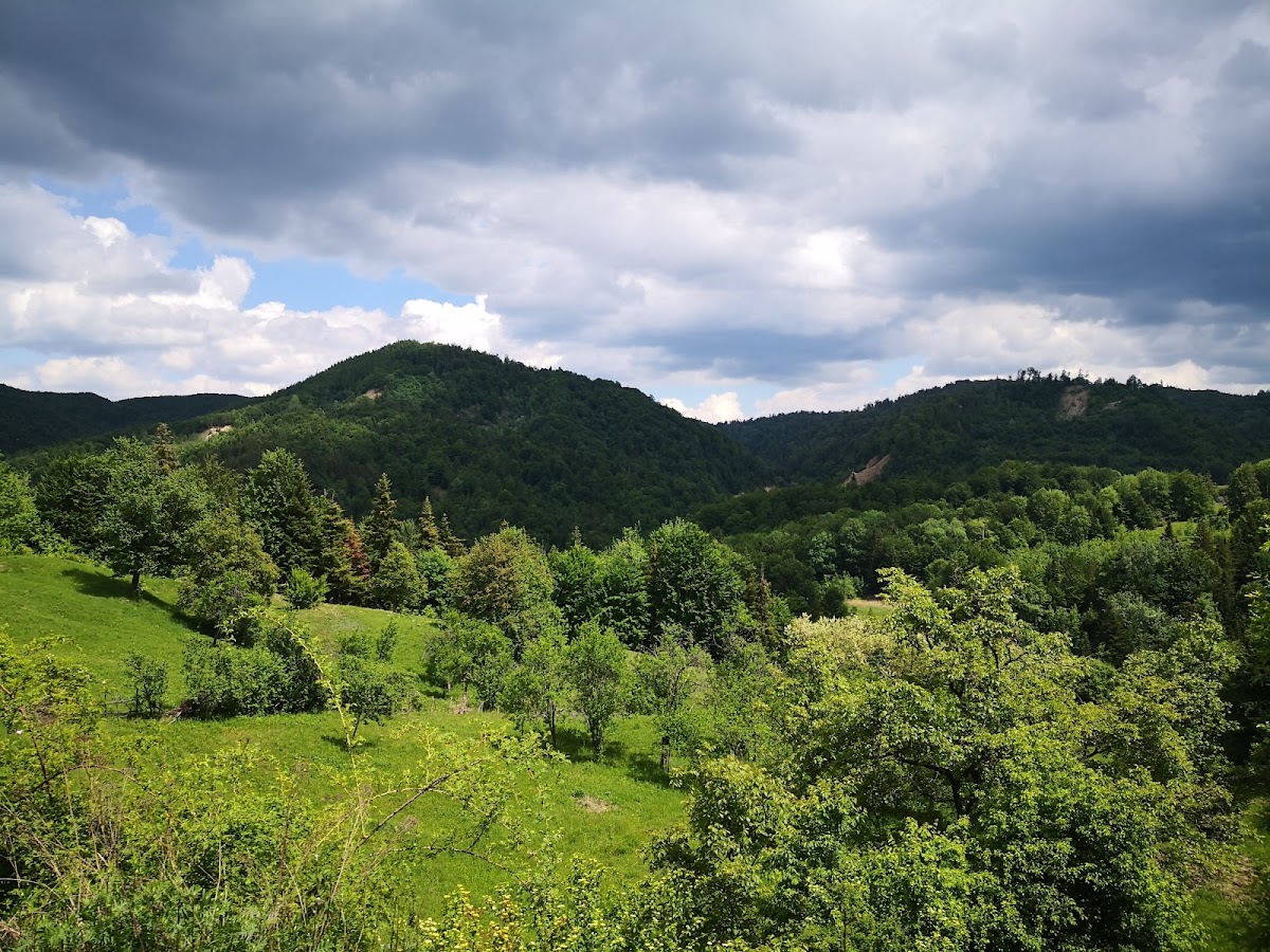 The Living Fire of Andreiașu de Jos - foto 3