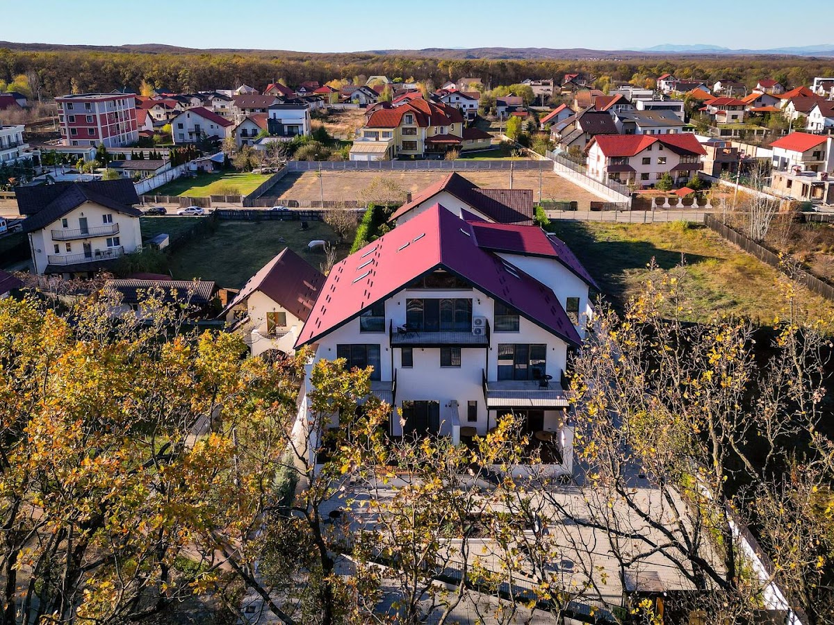 Forest Boutique, Piteşti