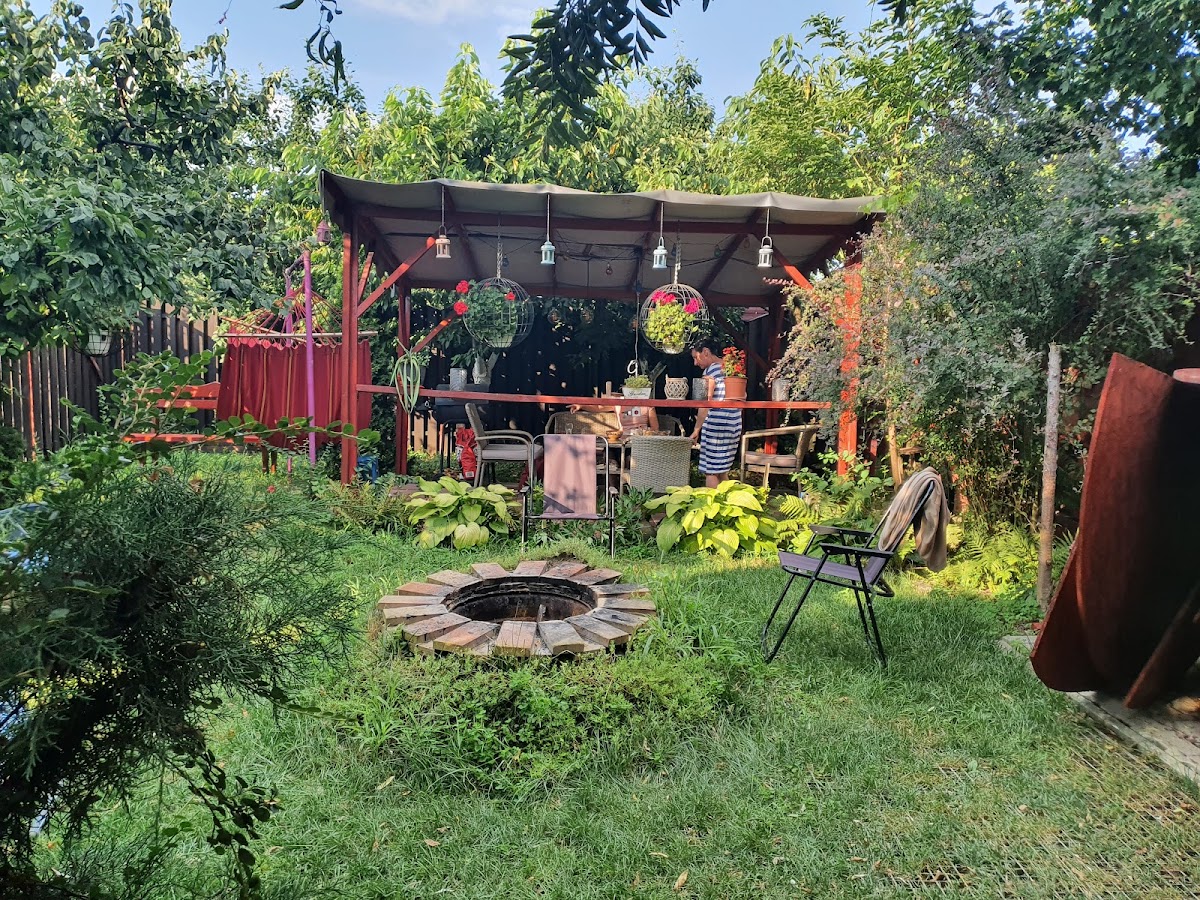 Forest Camp Transylvania, Târgu Mureş
