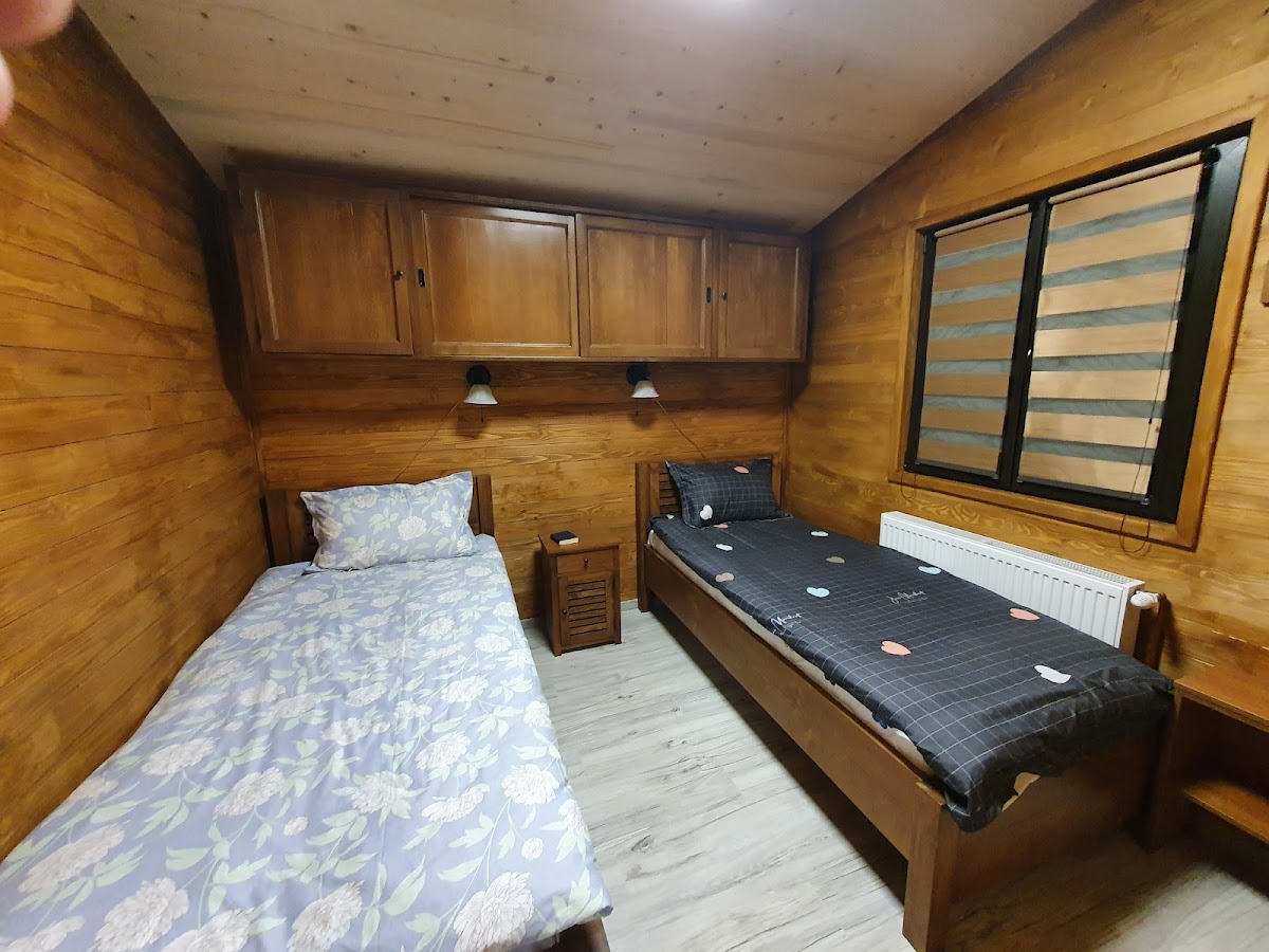 Forest Camp Transylvania