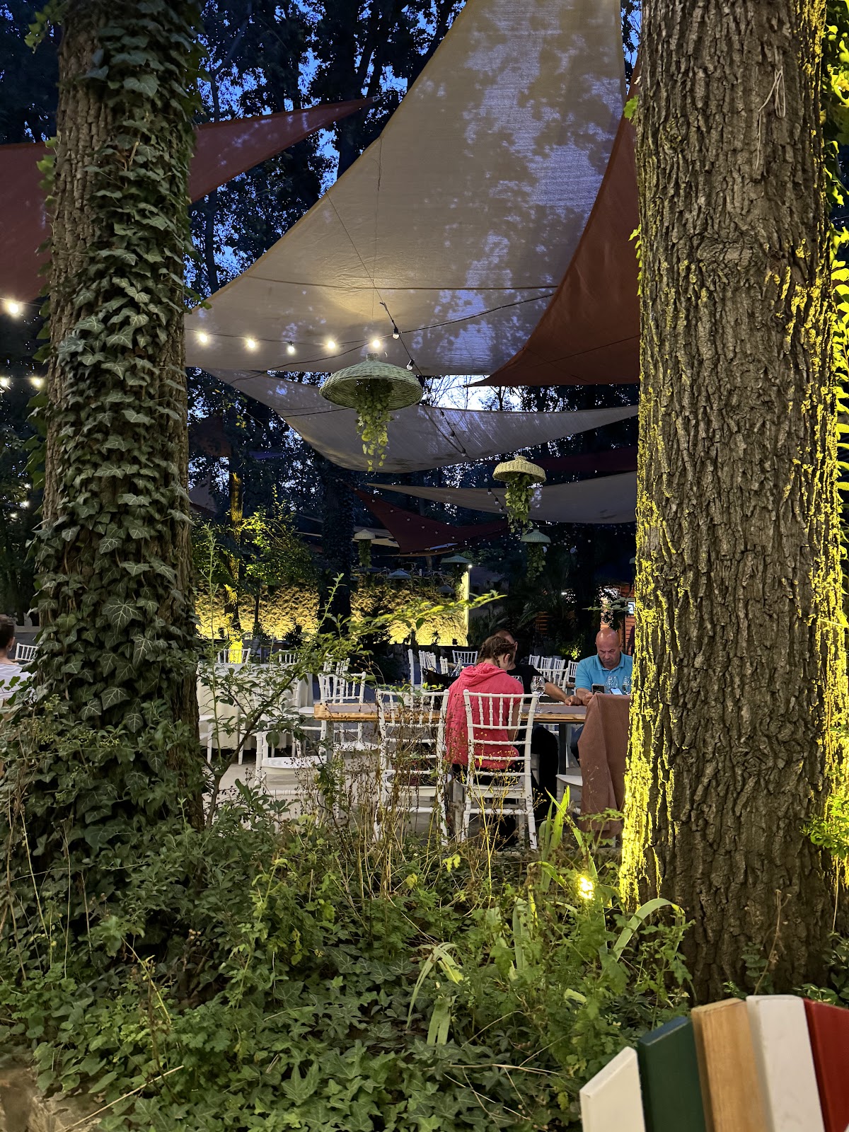 FOREST M Restaurant - foto 3