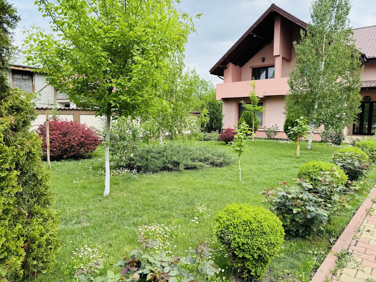 Forest Spătaru, Spătaru