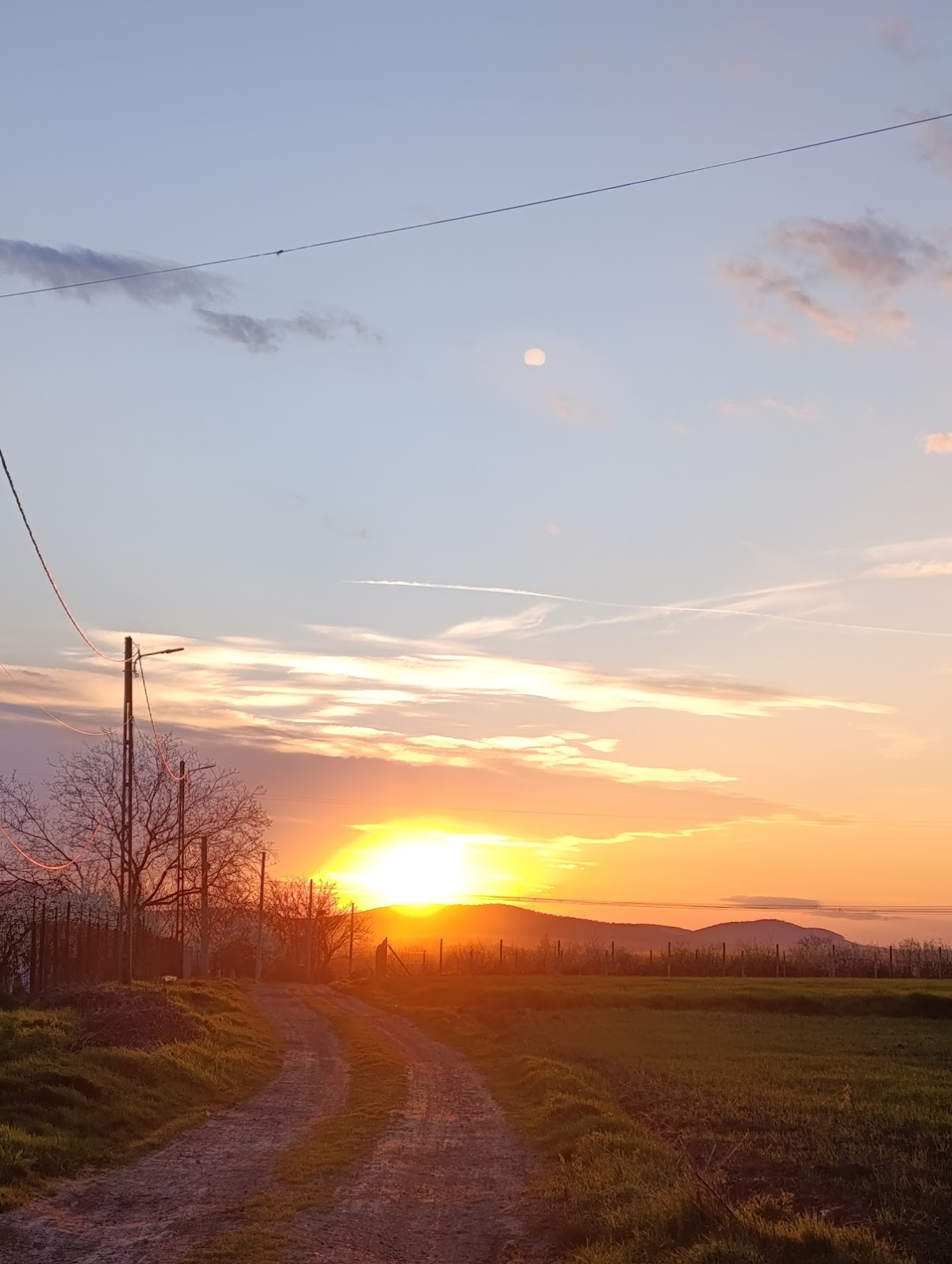 Frecatei Tulcea - foto 4