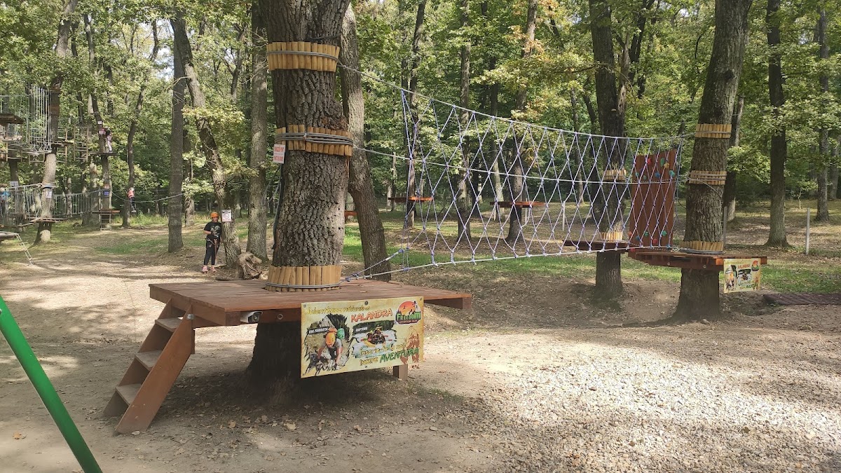 Freedom Adventure Park - foto 3