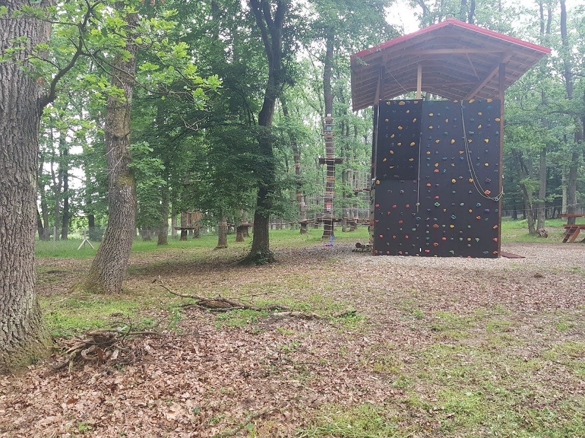 Freedom Adventure Park - foto 4