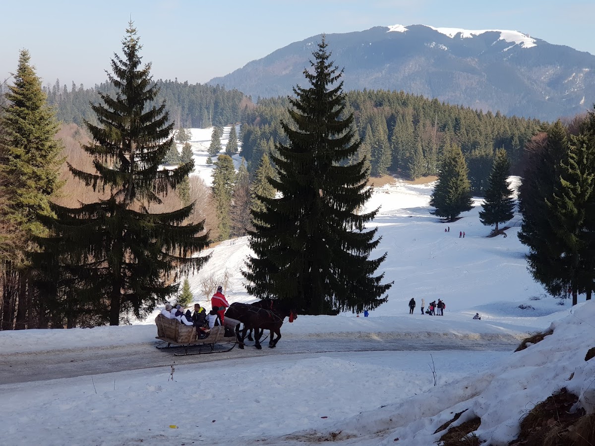 Fun Park Trei Brazi - foto 3