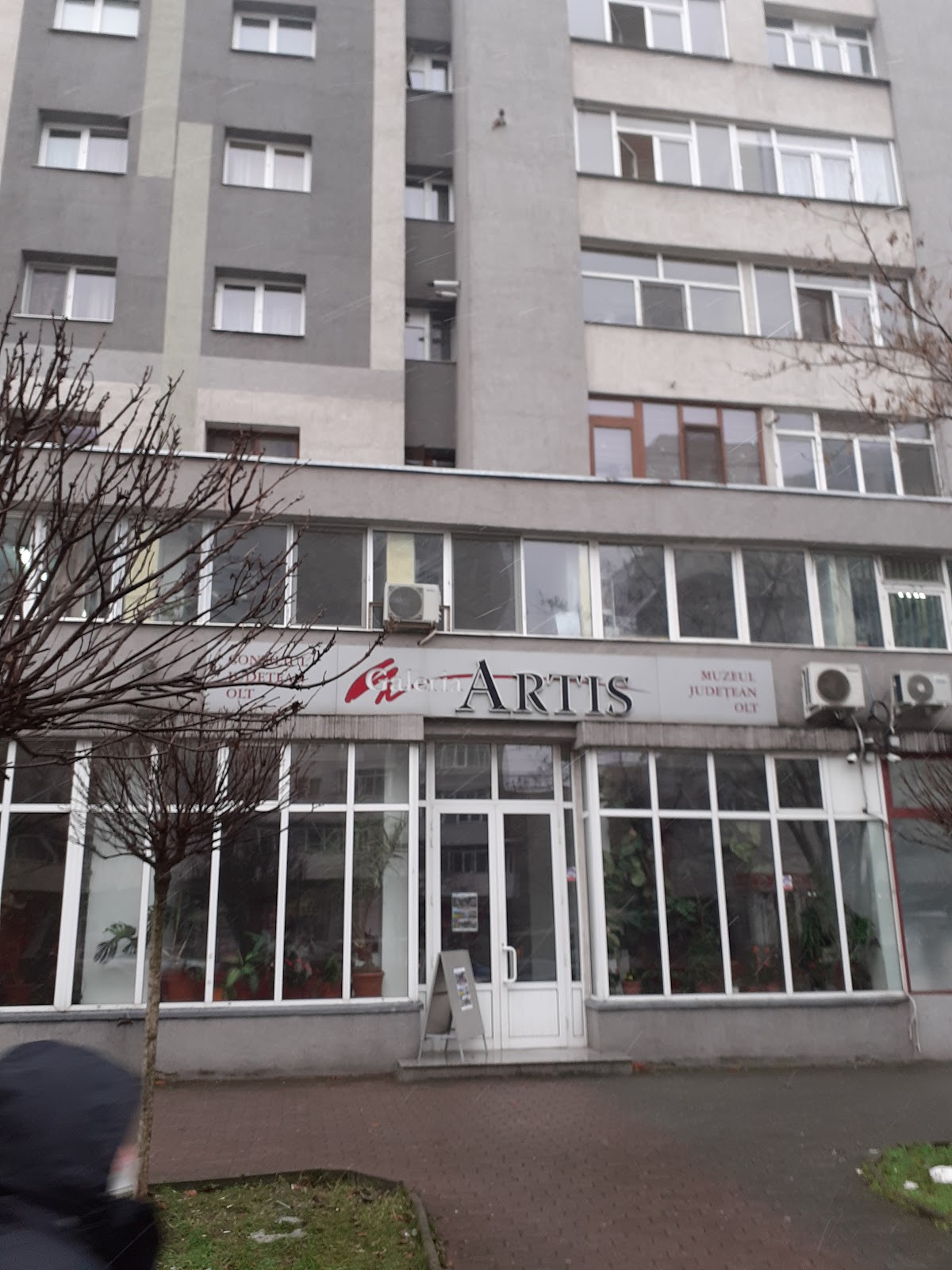 Galeria Artis