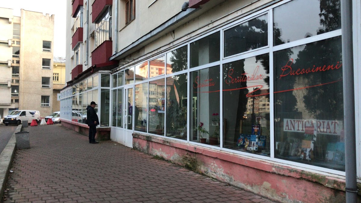 Galeria de arta ,,Ion Irimescu"