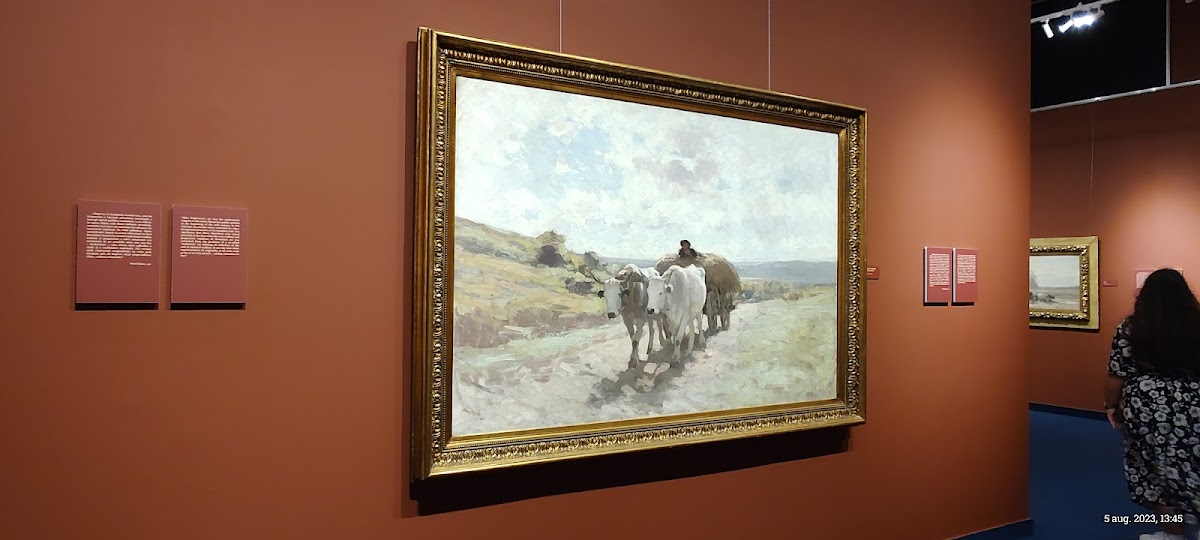 Galeria de Artă Modernă Românească - foto 5