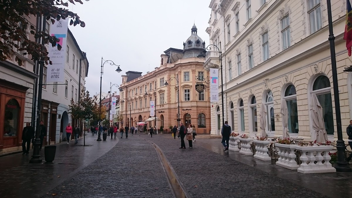 Galeria de Artă Națională - foto 5