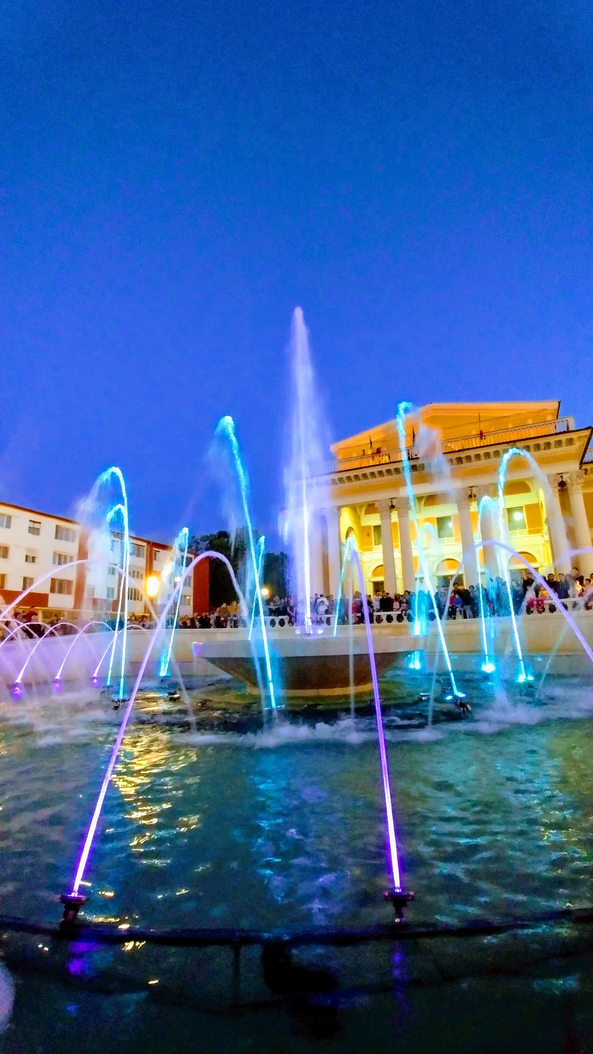 Art Gallery
