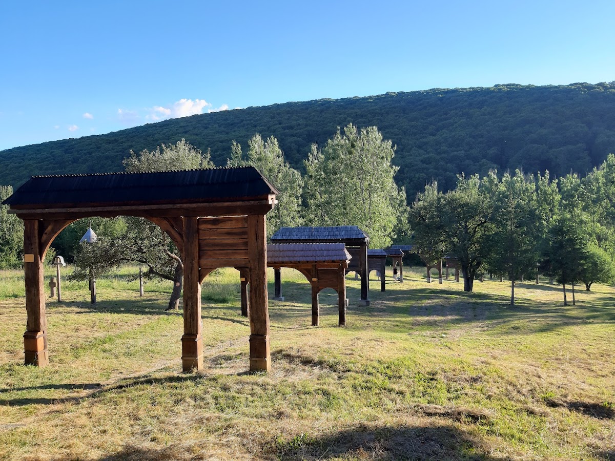 Galeria Porților Secuiești - foto 3