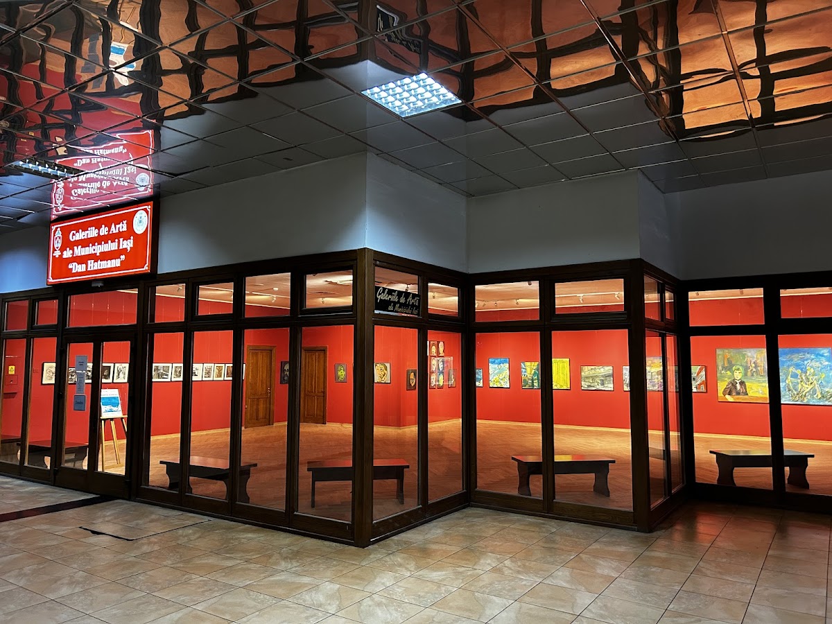 Galeries d'Art de la Municipalité de Iași “Dan Hatmanu" - foto 3