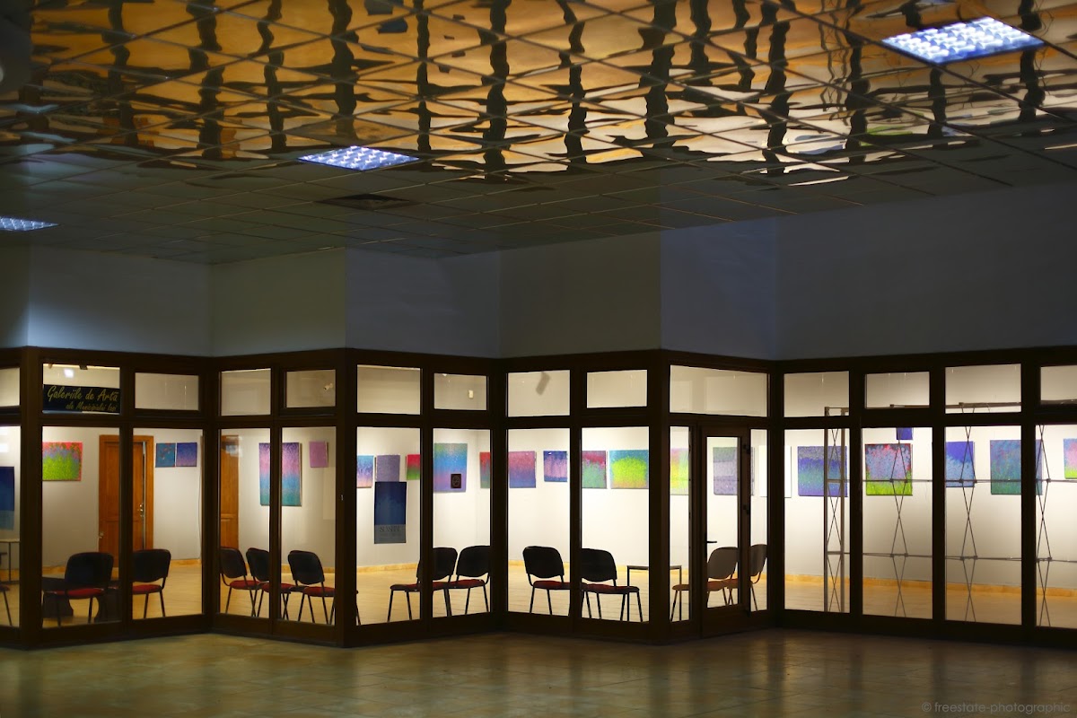 Galeries d'Art de la Municipalité de Iași “Dan Hatmanu" - foto 5