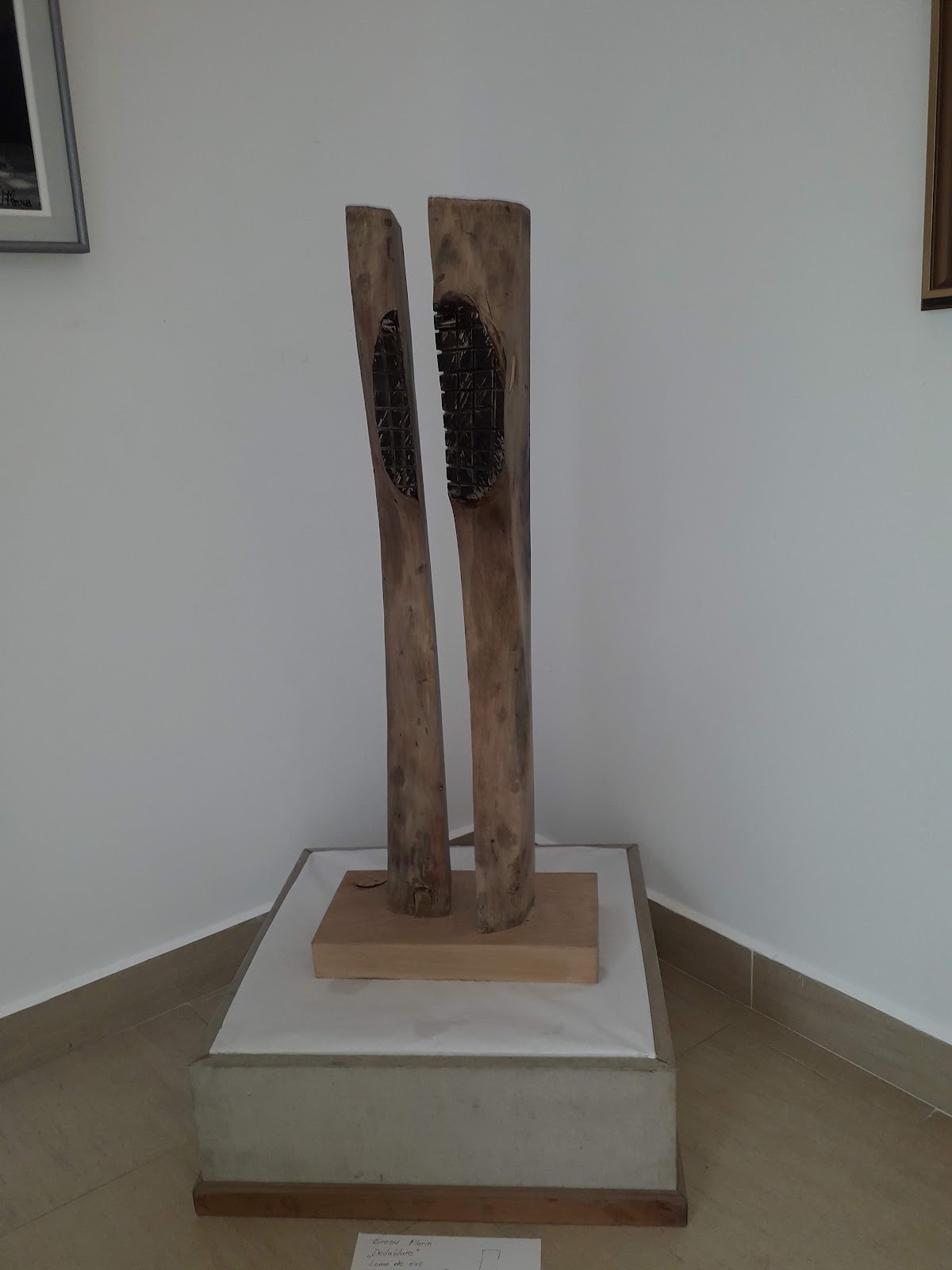 Kunstgalerien „Ștefan Luchian” in Botoșani - foto 4