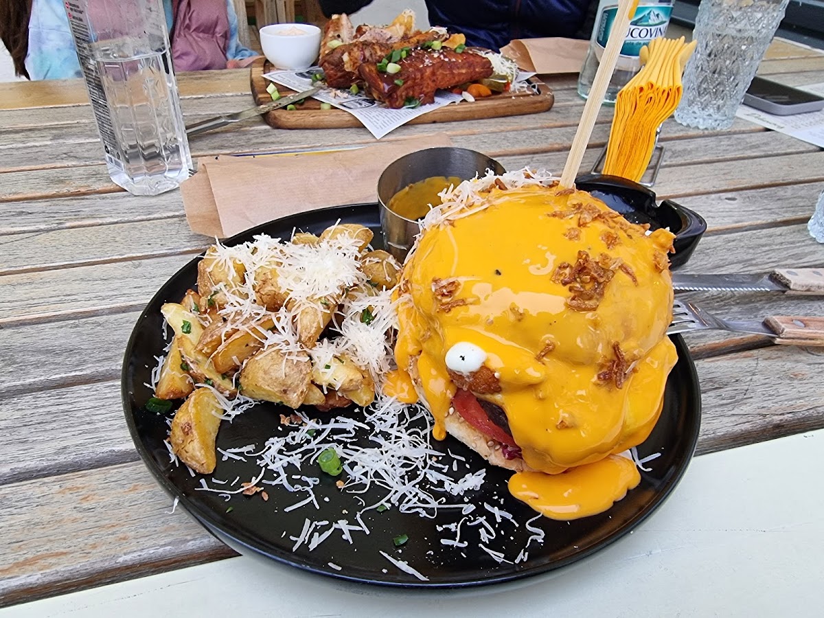 Gama Fusion - foto 4