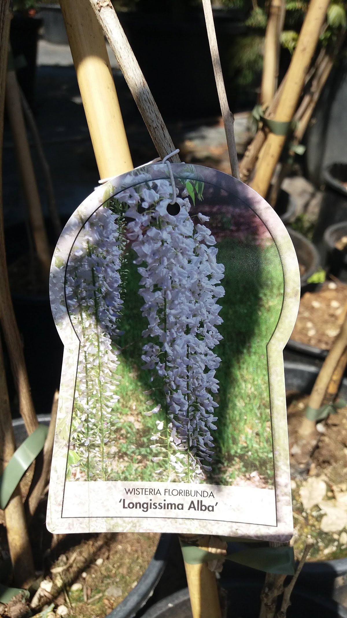 Garden Center Grup Bragadiru