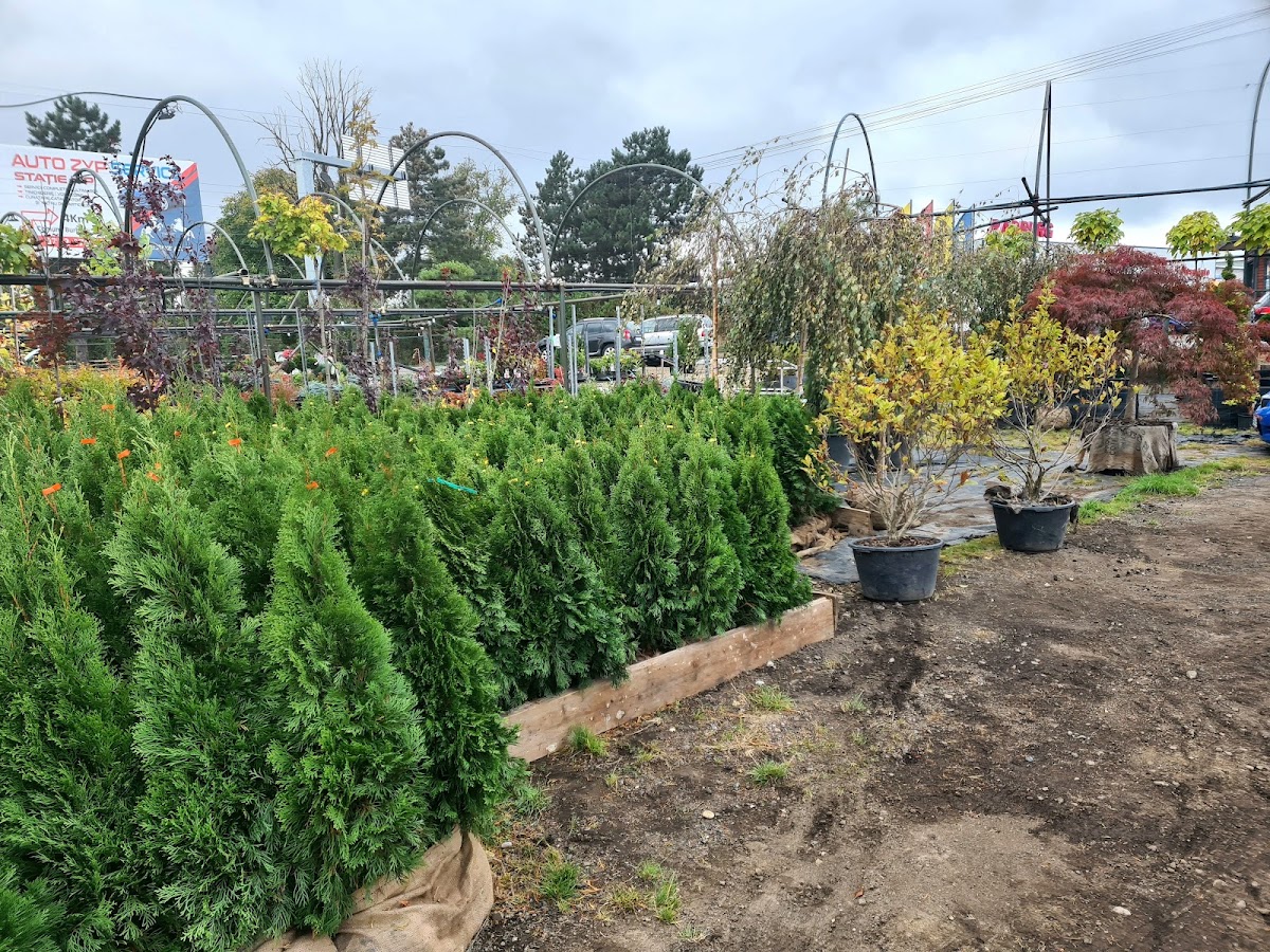 Garden Center ,,La Bunicu"