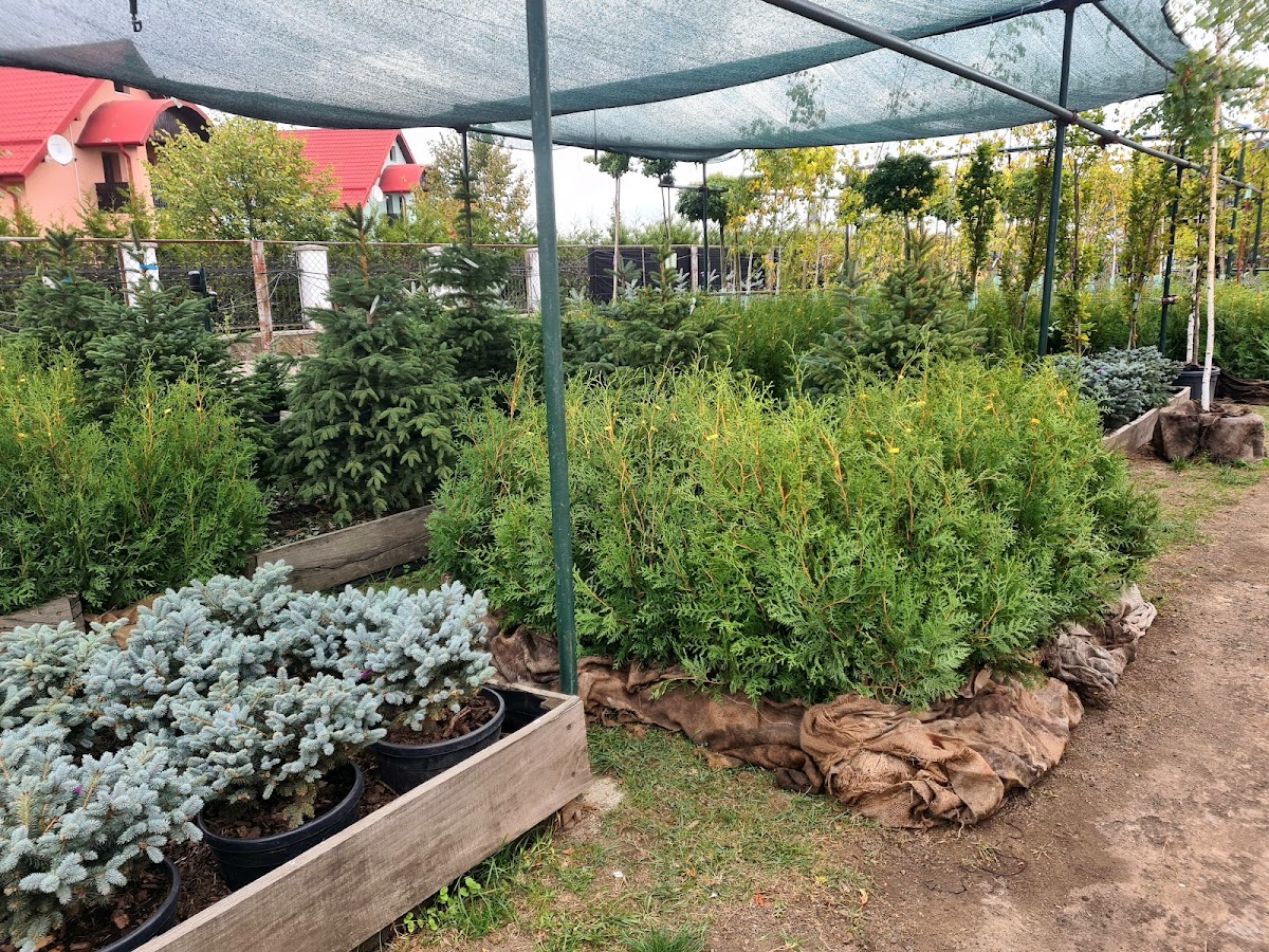 Garden Center ,,La Bunicu" - foto 4