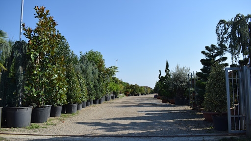 Garden Coțan - foto 2
