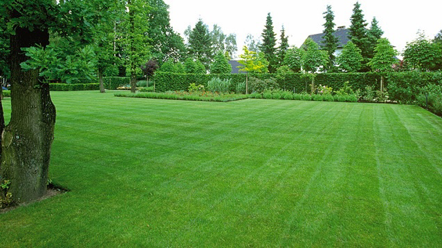 GARDEN CREATIV DESIGN