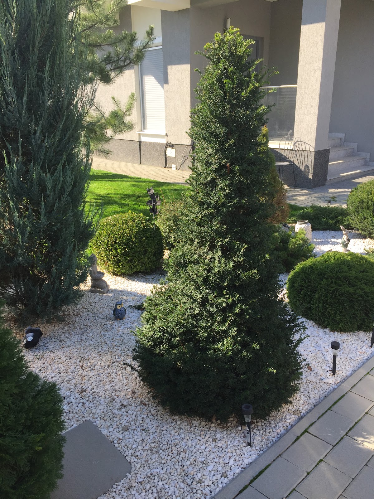 GARDEN CREATIV DESIGN - foto 2