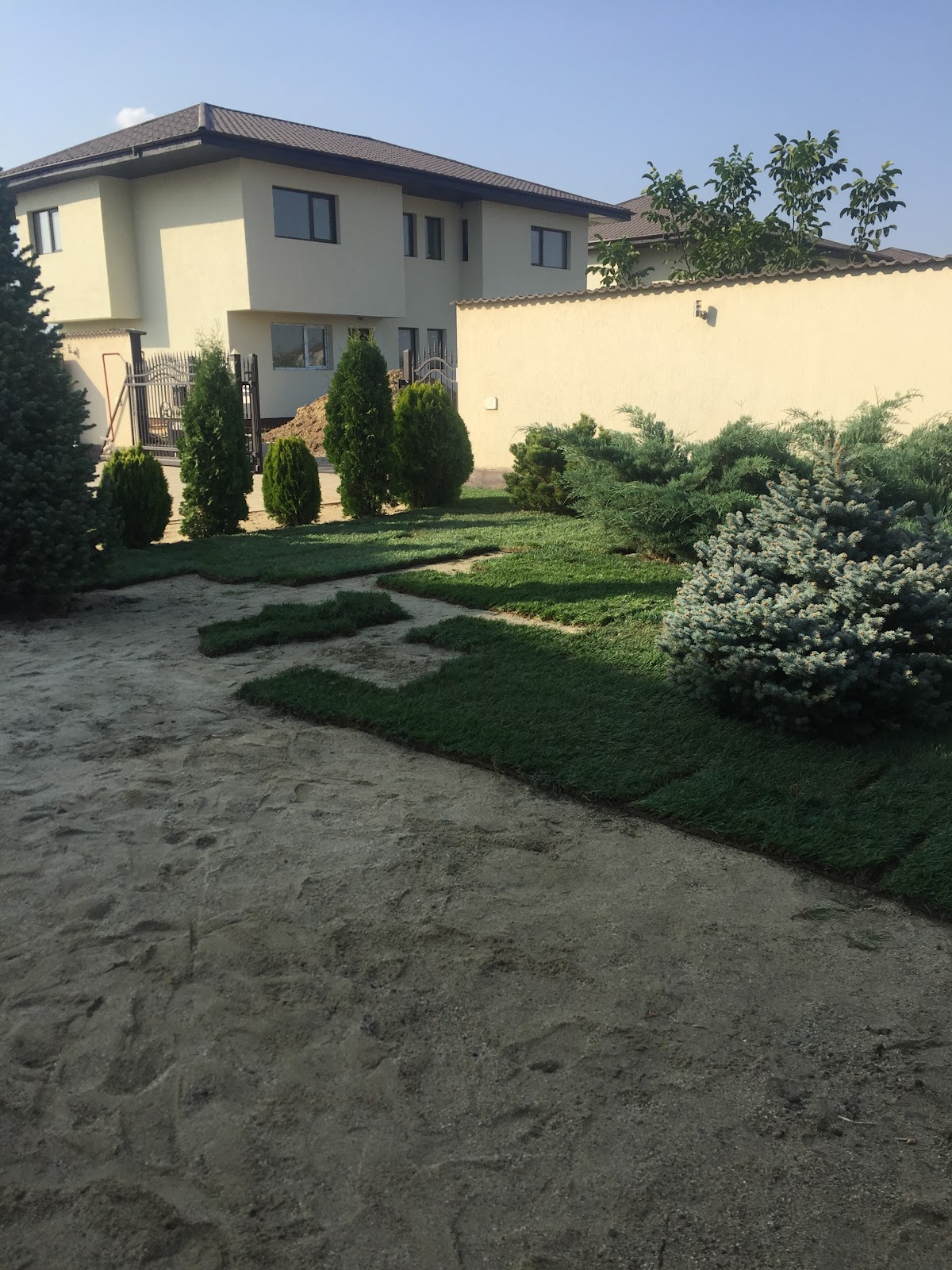 GARDEN CREATIV DESIGN - foto 3