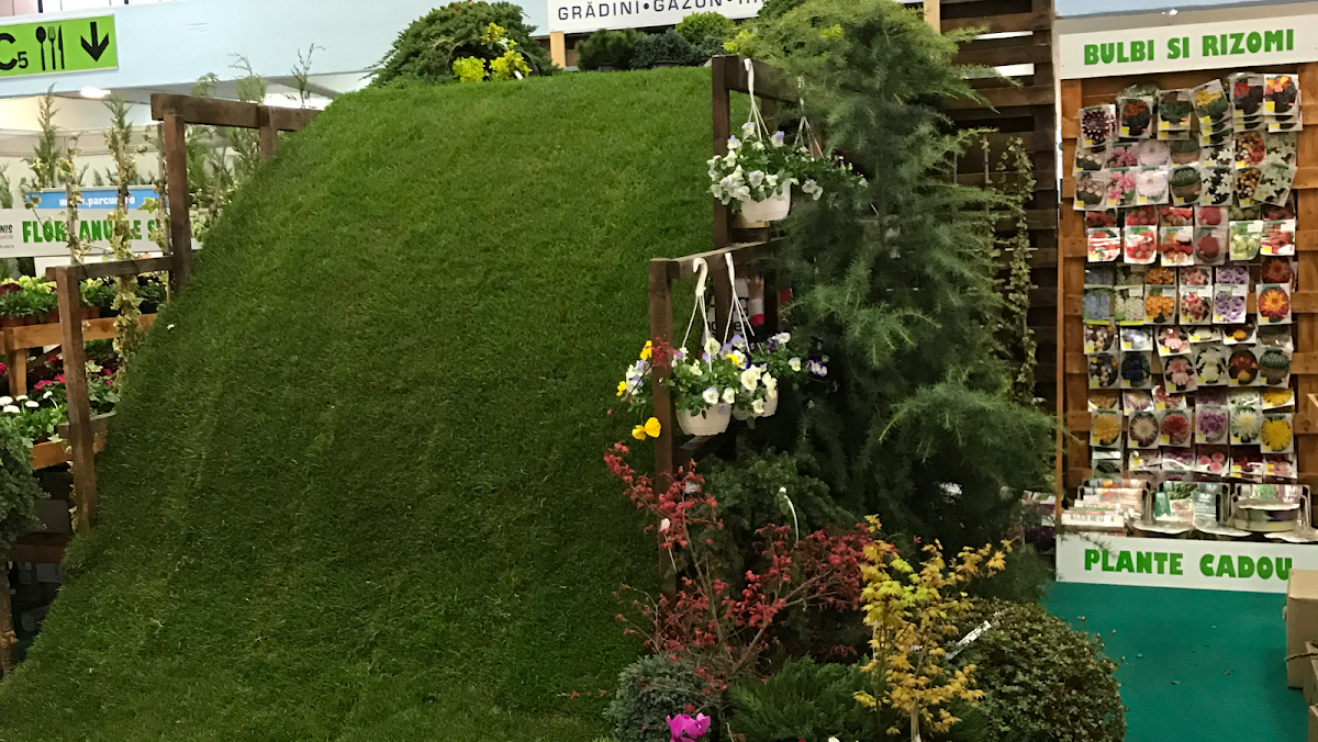 GARDENIS OTOPENI DN1 - foto 2