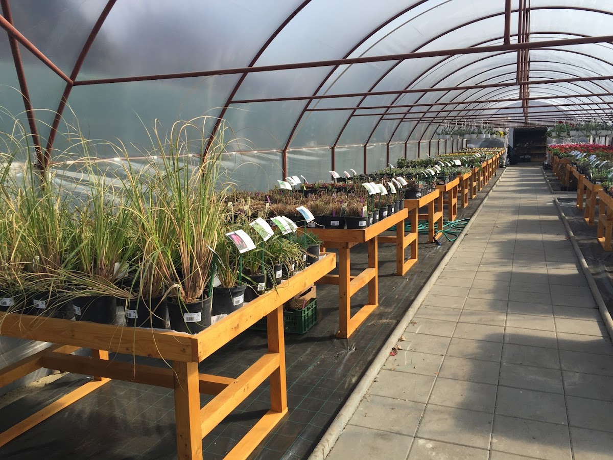 GARDENIS OTOPENI DN1 - foto 5