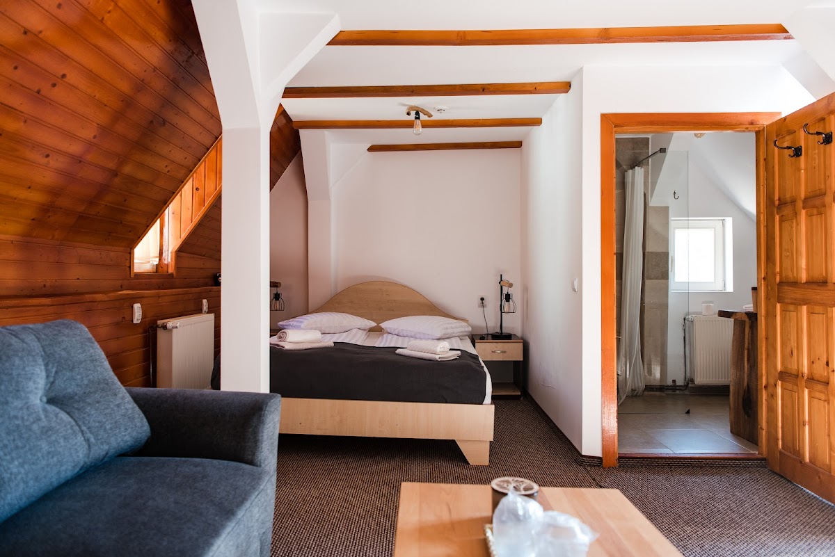 Gasthaus Hundorf Viisoara - Retraite Bien-Être en Transylvanie