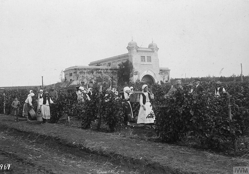 Gastronomia Segarcea, Segarcea